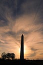 Washington Monument Royalty Free Stock Photo