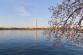 Washington Monument across Tidal Basin during cherry blossom festival. Royalty Free Stock Photo