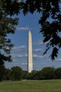 Washington Monument framed by trees