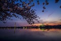 Washington Monument and Jefferson Memorial from Across the Tidal Basin at Sunrise during the Cherry Blossom Festival Royalty Free Stock Photo