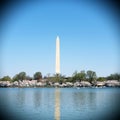Washington Monument From the lake in Washington, D.C. Royalty Free Stock Photo