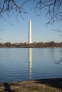The Washington Monument Royalty Free Stock Photo