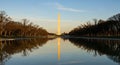 Washington Monument reflected in the Lincoln Memorial Reflecting Pool at sunrise with bare trees lining the path Royalty Free Stock Photo