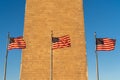 Washington Monument at sunset, during the fall, with American Flags blowing in the wind Royalty Free Stock Photo