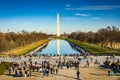 Washington Monument - Washington DC Royalty Free Stock Photo