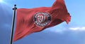 Washington Nationals flag, american professional baseball team, waving - loop