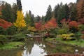 Washington Park Arboretum JApanese Garden, Seattle, Washington Royalty Free Stock Photo