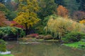 Washington Park Arboretum JApanese Garden, Seattle, Washington Royalty Free Stock Photo