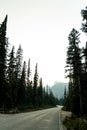 washington pass overlook near the north cascades national park eastern entrance in central northern washington Royalty Free Stock Photo