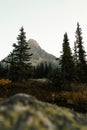 washington pass overlook near the north cascades national park eastern entrance in central northern washington Royalty Free Stock Photo