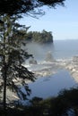Washington State coast Royalty Free Stock Photo