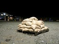 Washington State Flooding - Sandbags