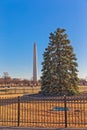 Washington Monument obelisk with the National Christmas Tree Royalty Free Stock Photo