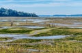 Washington Wetlands Landscape 8 Royalty Free Stock Photo