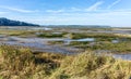 Washington Wetlands Landscape 9 Royalty Free Stock Photo