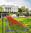 Washington White House flowers