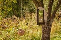 Washstand and mirror on a tree Royalty Free Stock Photo