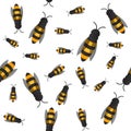 Wasp and bee background. Vector. Seamless pattern