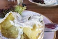 Wasp, bee is stuck on a grilled potato in the fromage frais