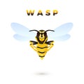 Wasp cartoon illustration isolated on white background. Predatory insect. Yellow striped wasp. Vector Royalty Free Stock Photo