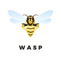 Wasp cartoon illustration isolated on white background. Predatory insect. Yellow wasp. Vector