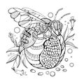 Wasp coloring book for adults vector