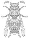 Wasp Coloring vector for adults