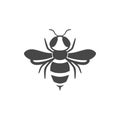 Wasp flat line icon.