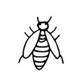 Wasp hand drawn in doodle style. element scandinavian monochrome minimalism simple element. striped insect, spring, summer. design