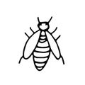 Wasp hand drawn in doodle style. element scandinavian monochrome minimalism simple vector element. striped insect, spring, summer