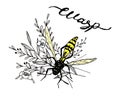 Wasp on herbs with lettering
