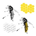 Wasp honeycomb illustration black yellow isolated on white background Royalty Free Stock Photo