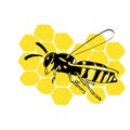 Wasp on honeycomb illustration black yellow isolated on white background Royalty Free Stock Photo