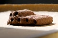Wasp house made of mud Royalty Free Stock Photo