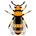 Wasp icon. Bee icon. Honey bee or wasp. Insect color wasp. A stinging insect. Flat design