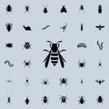 wasp icon. insect icons universal set for web and mobile