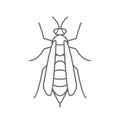 Wasp icon logo isolated white background vector