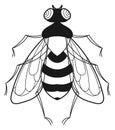 Wasp icon. Stinging wild insect ink drawing Royalty Free Stock Photo