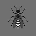 Wasp drawing. Animal concept. Vector illustration.