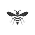 Wasp Insect icon