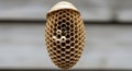 Wasp nest with hexagonal cells hanging outdoors insect home Royalty Free Stock Photo