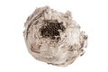 Wasp nest isolated on white Royalty Free Stock Photo
