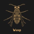 Wasp outline graphic element. Stylized insect. Vector illustration