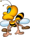 Wasp pry