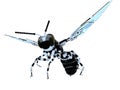 Wasp Robot