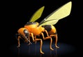 Wasp robot