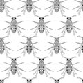 Wasp seamless pattern. Black elements on white background. Vector illustration with insect Royalty Free Stock Photo