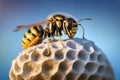 Wasp sitting on top of wasp nest close up. Wasp nest with wasps sitting on it. Wasps polist. generative AI