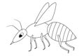 Wasp. Sketch. A small fly with a sting. Vector illustration. Coloring book for children. An insect with wings.