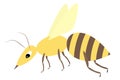 Wasp. A small fly with a stinger and a striped body. Color vector illustration. Insect with yellow wings. Isolated background. F